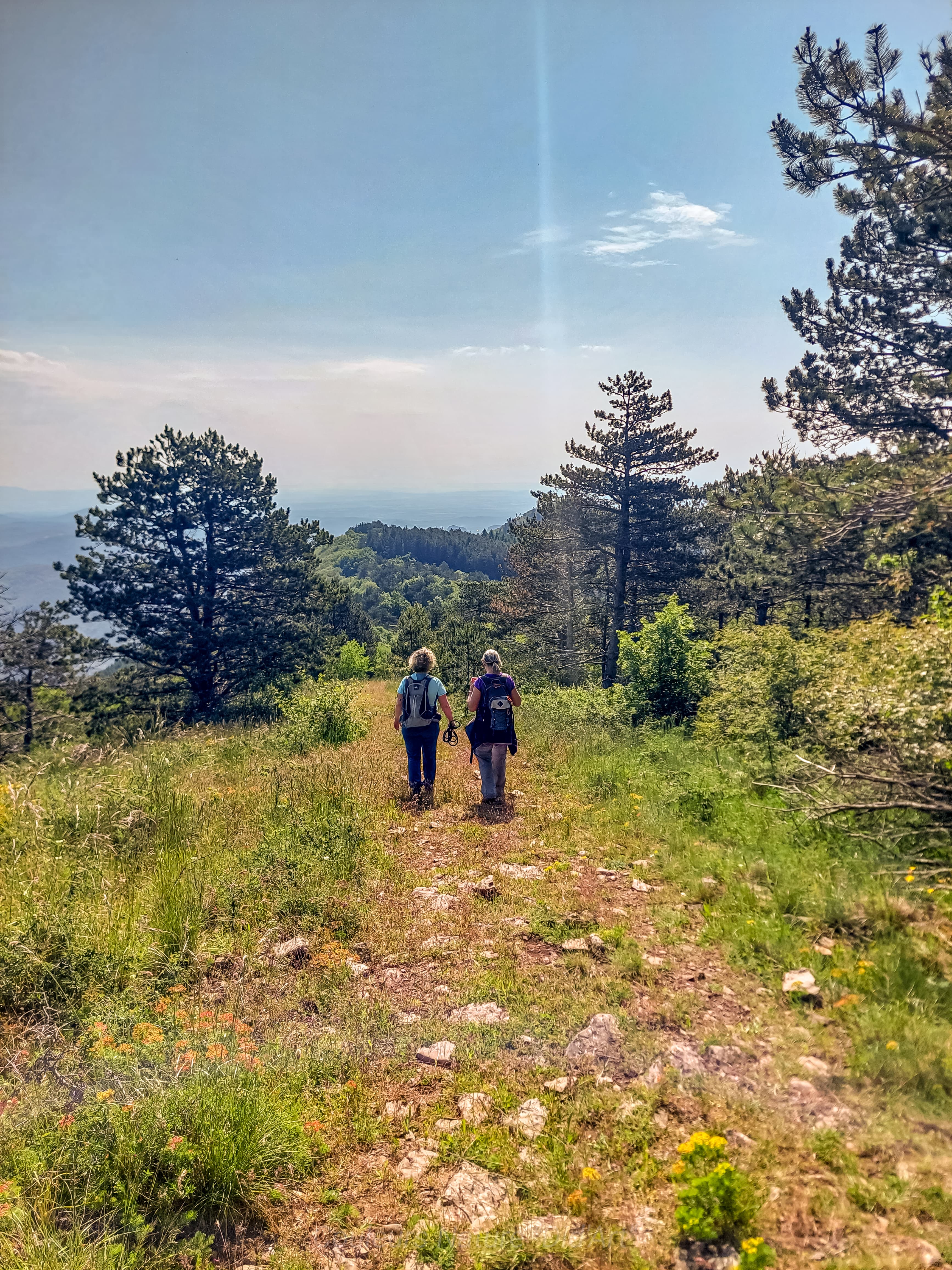 Randonneuses dans les Cévennes